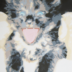 Gizmo